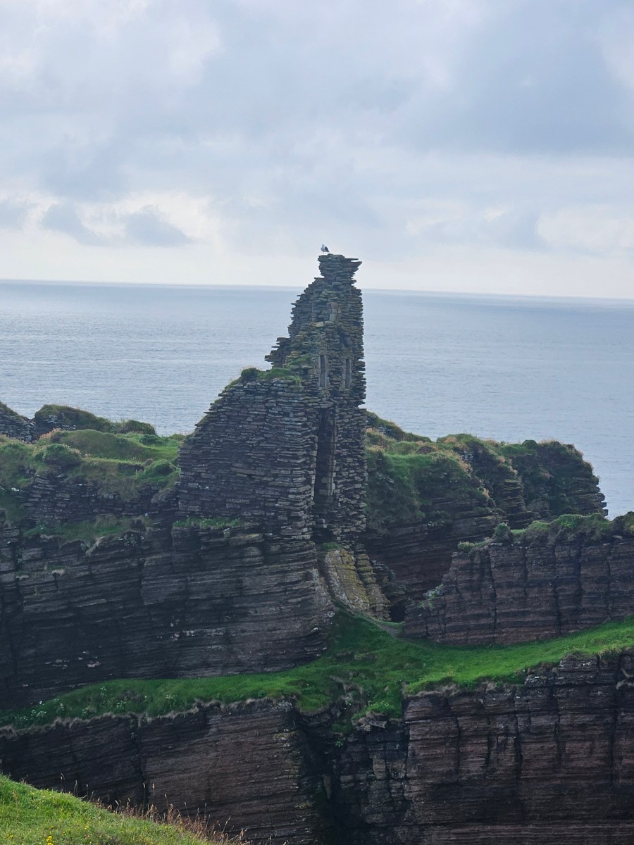 8/4/2026 — I was ambitious….