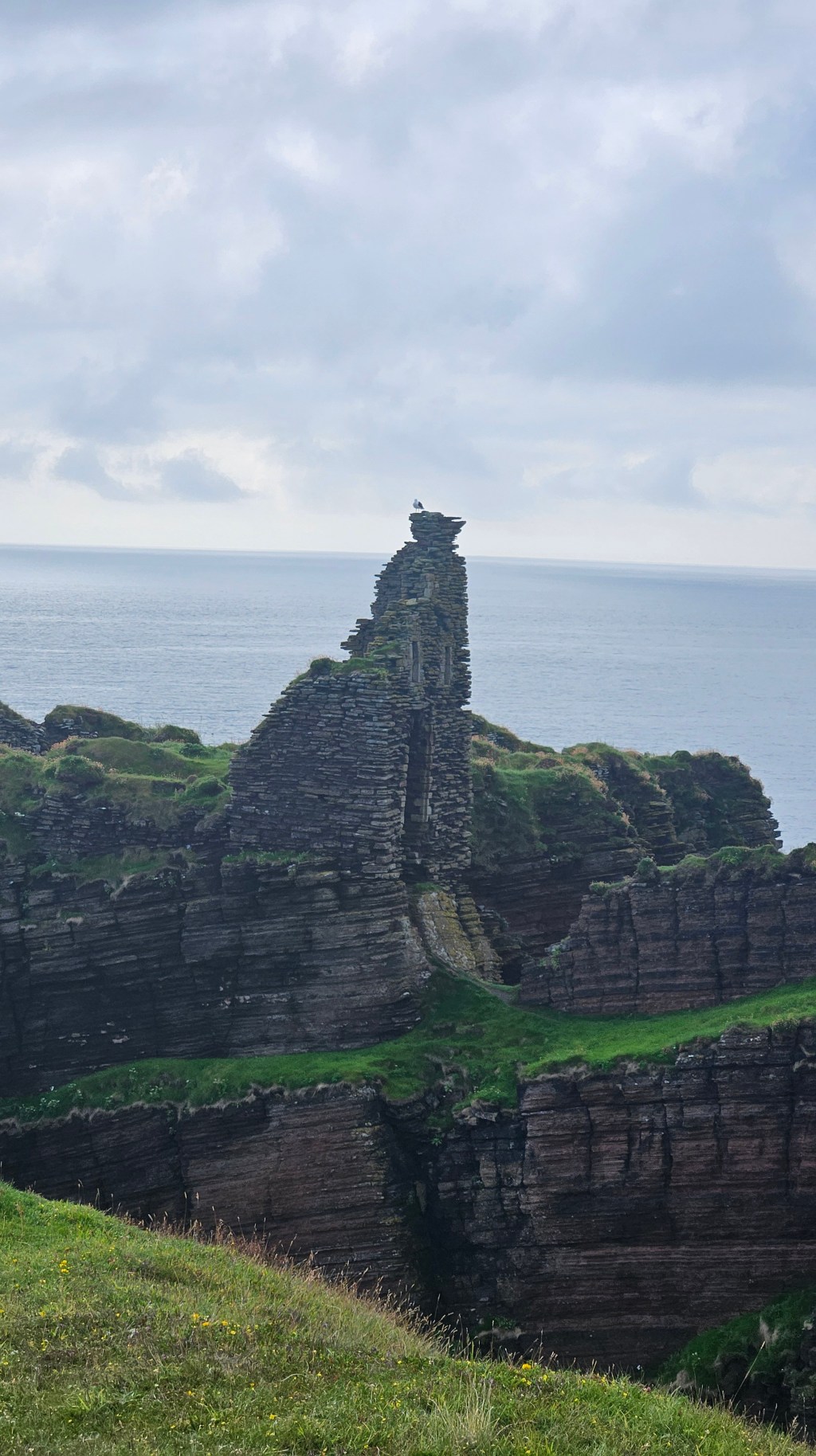 8/4/2026 — I was ambitious….